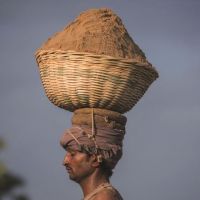 全球沙荒：20年貿(mào)易額增長六倍 中國占亞洲一半，一場全球資源危機(jī)！正在愈演愈烈！