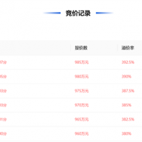 近50元/噸、溢價率393% 浙江民企競得一宗砂石礦