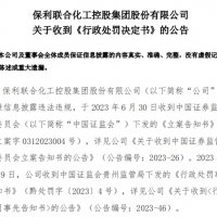 曾花近8億買下儲量超億噸大礦的央企因虛增利潤被罰955萬！